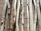 Fagot de Branches en bois flotté rectilignes 