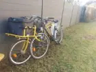 Vélo biporteur, cargo